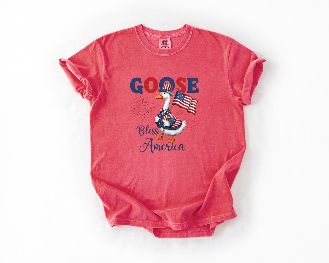 Goose Bless America