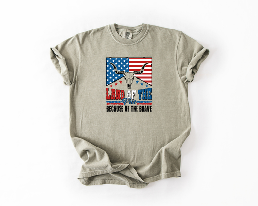 Land of the Free Longhorn