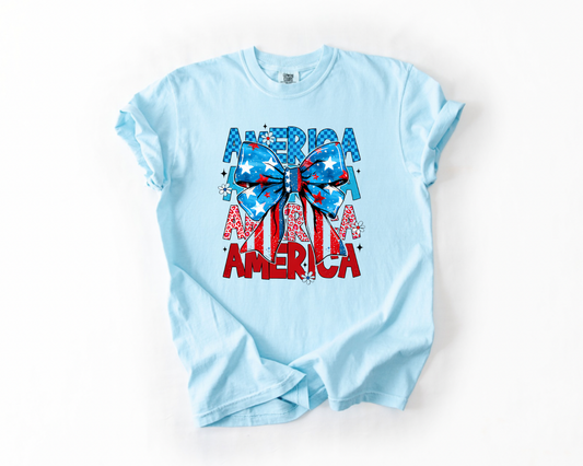 America X4 with Bow